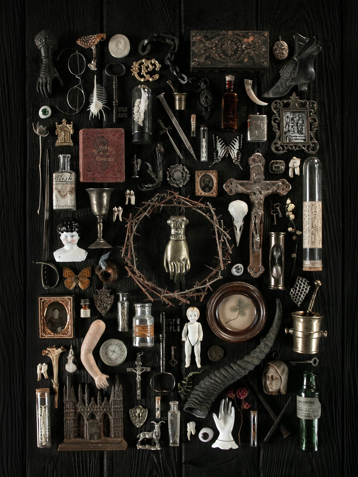Curiosities Print