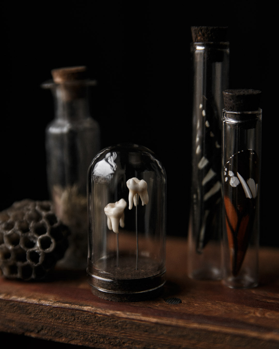 Tooth Dome Jar