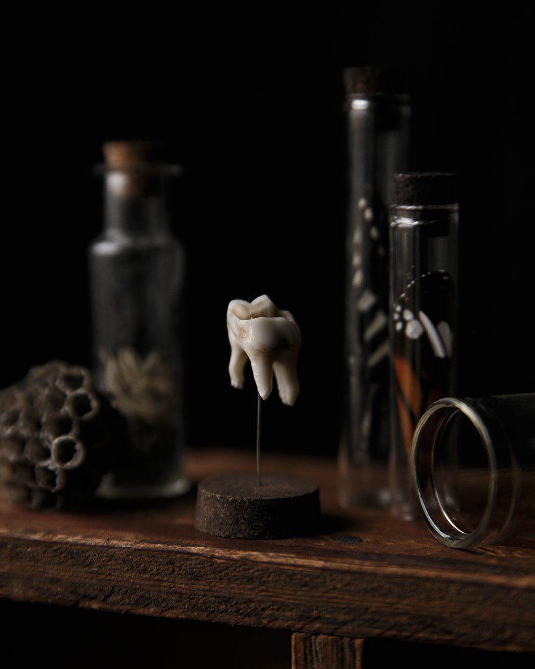 Tooth Dome Jar
