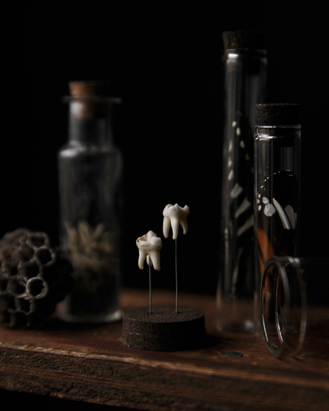 Tooth Dome Jar