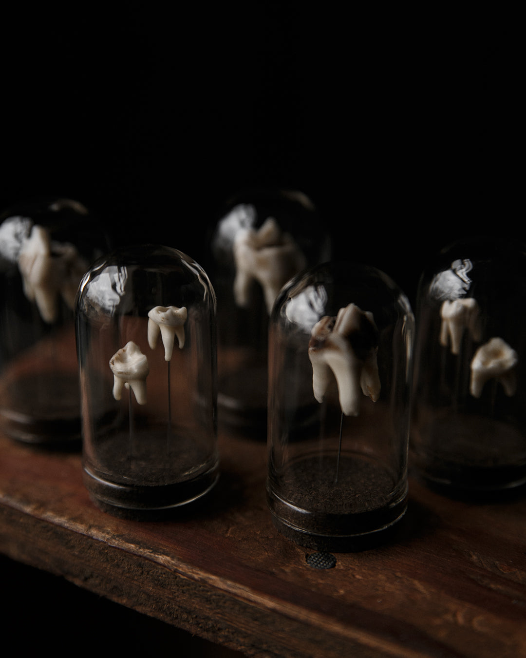 Tooth Dome Jar
