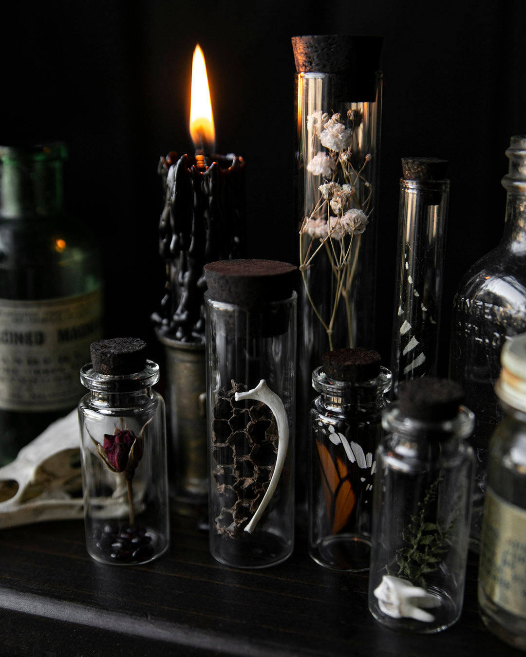 Curio Jars