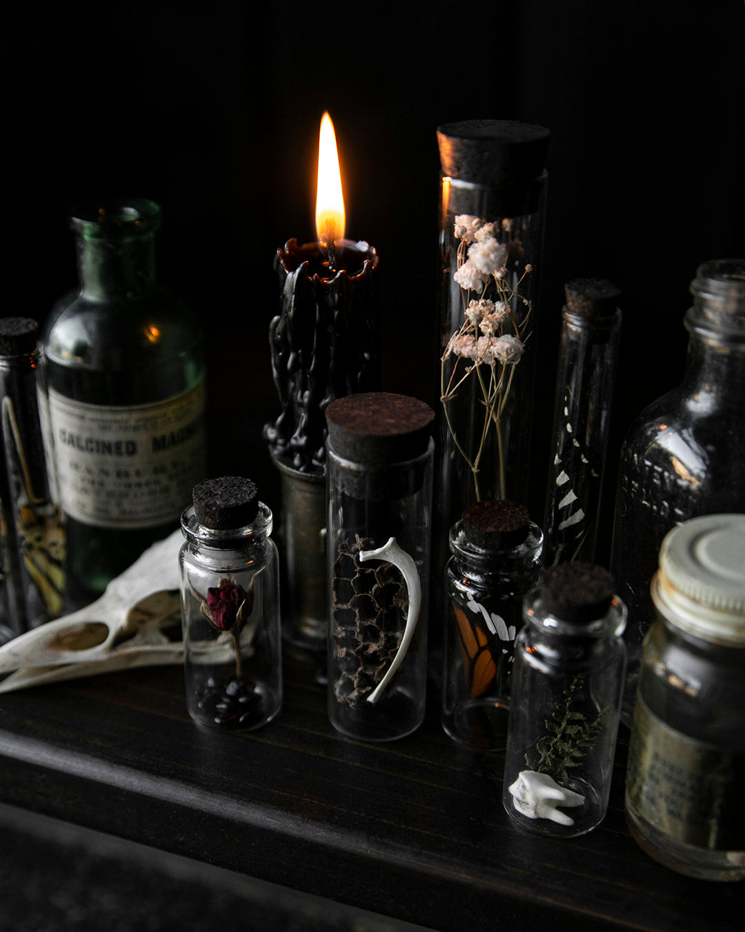 Curio Jars
