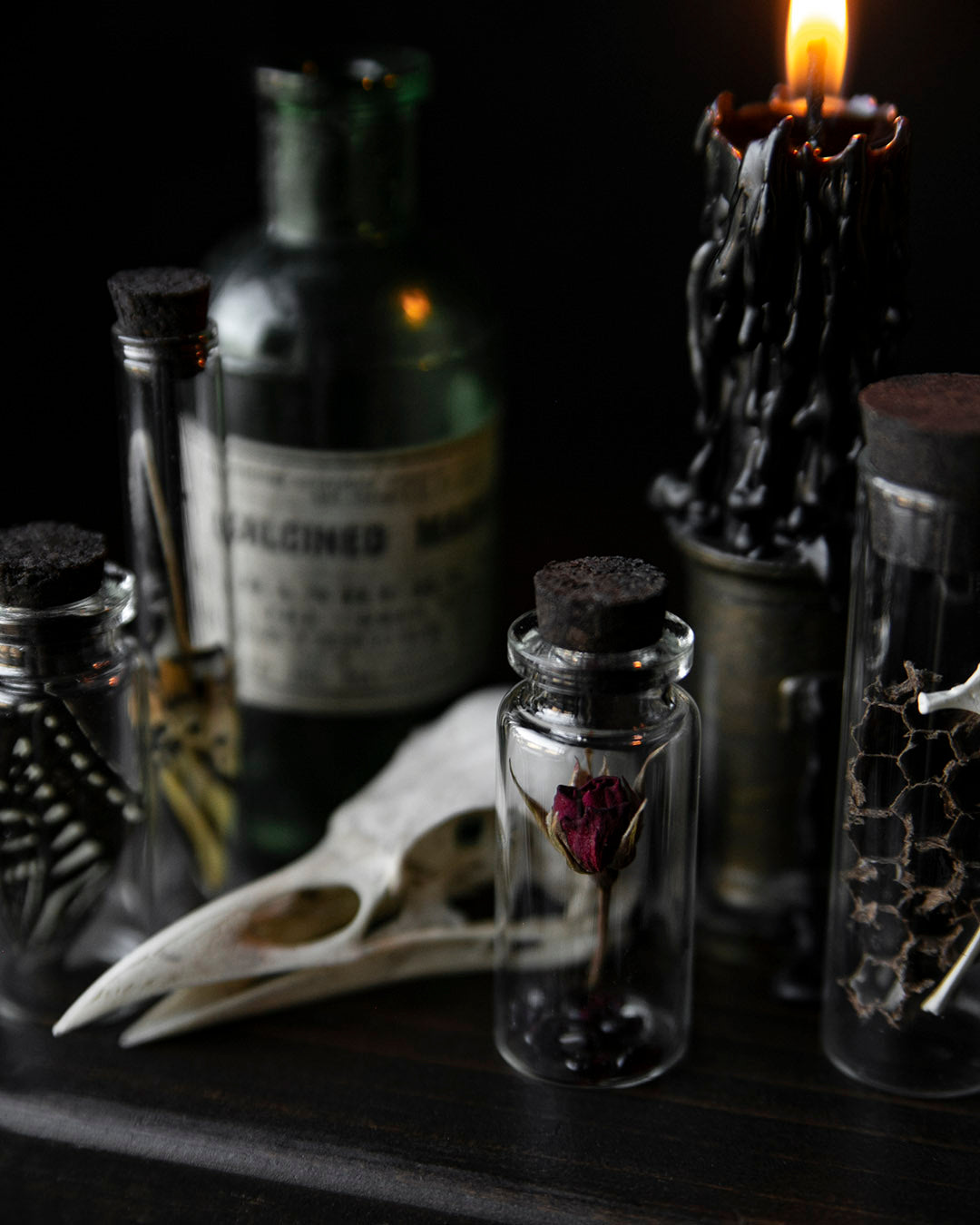 Curio Jars