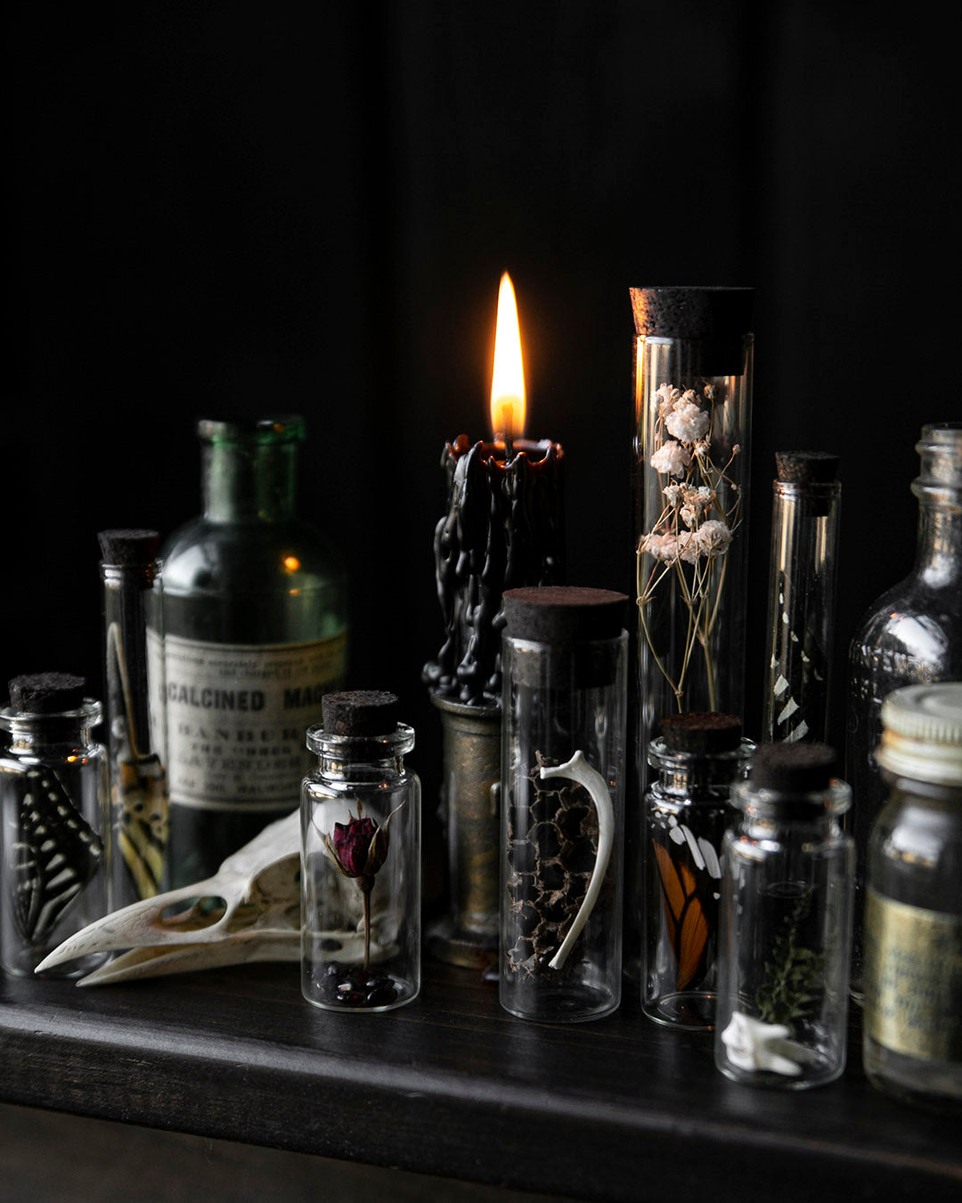 Curio Jars