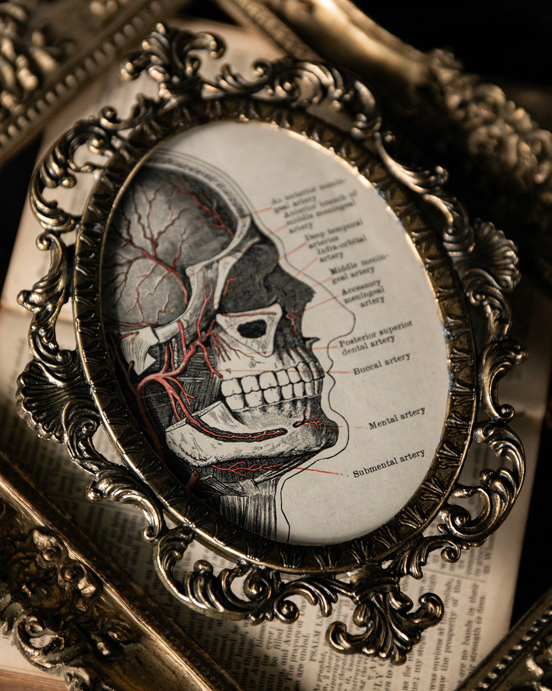 Vintage Frame