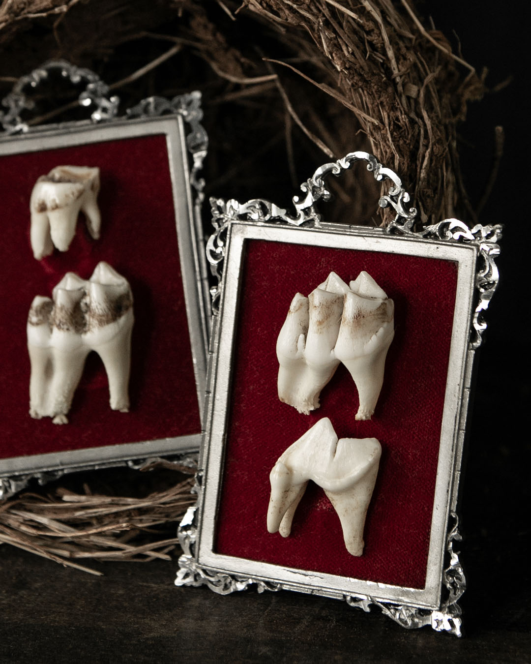 Framed Teeth