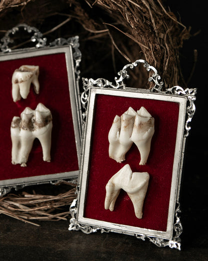 Framed Teeth