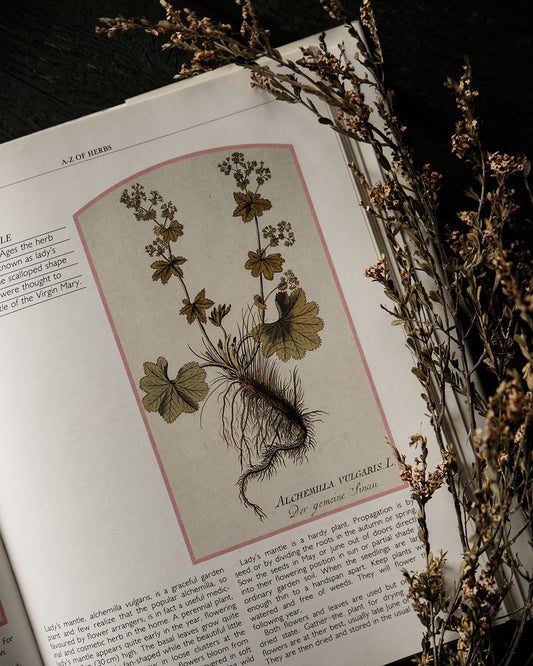 The Illustrated Herbal Book