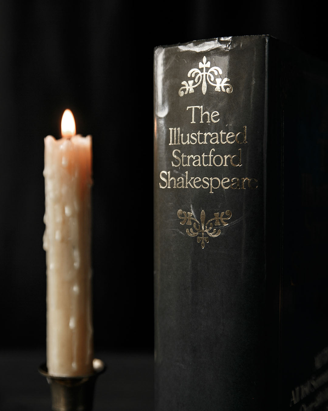 The Illustrated Stratford Shakespeare Book