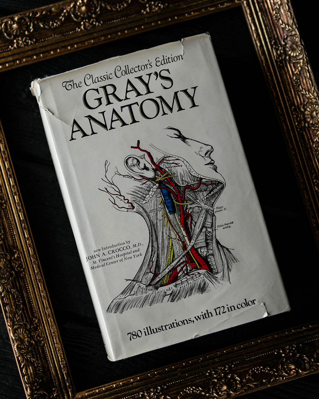 Vintage Greys Anatomy Book