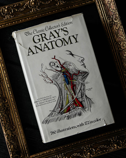 Vintage Greys Anatomy Book