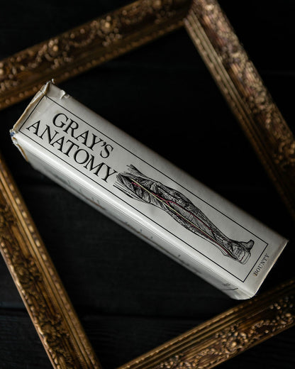 Vintage Greys Anatomy Book