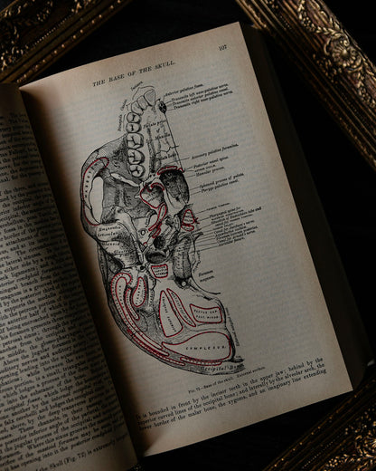 Vintage Greys Anatomy Book
