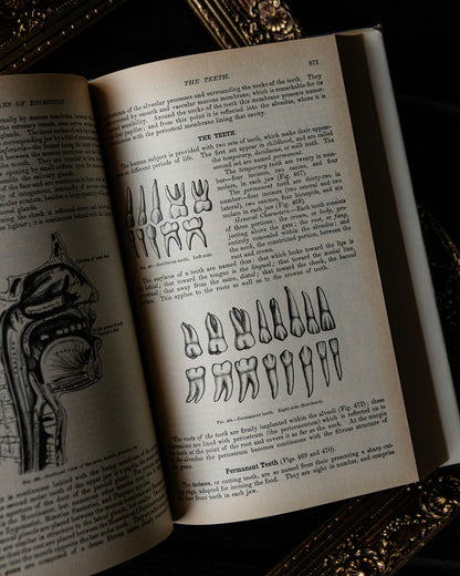 Vintage Greys Anatomy Book