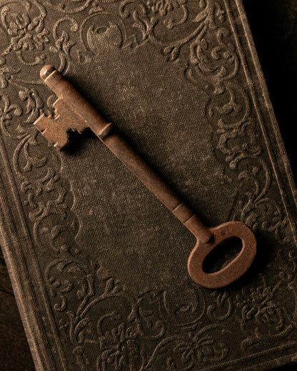 Antique Skeleton Key – Circe Curio