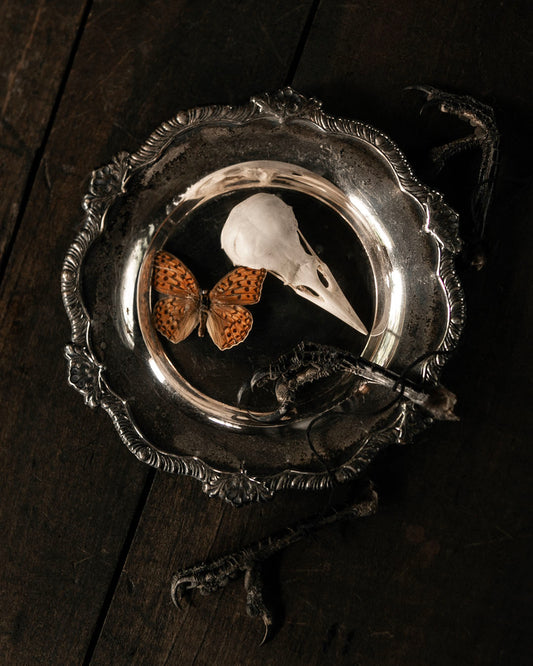 Silver Dish