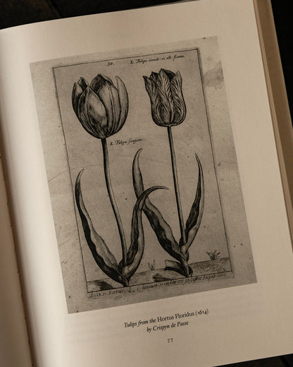 The Tulip Book