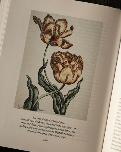 The Tulip Book
