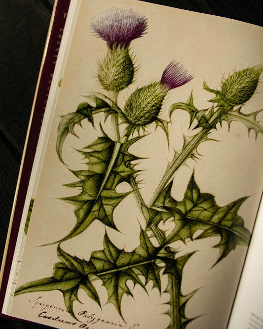 The Frampton Flora Book