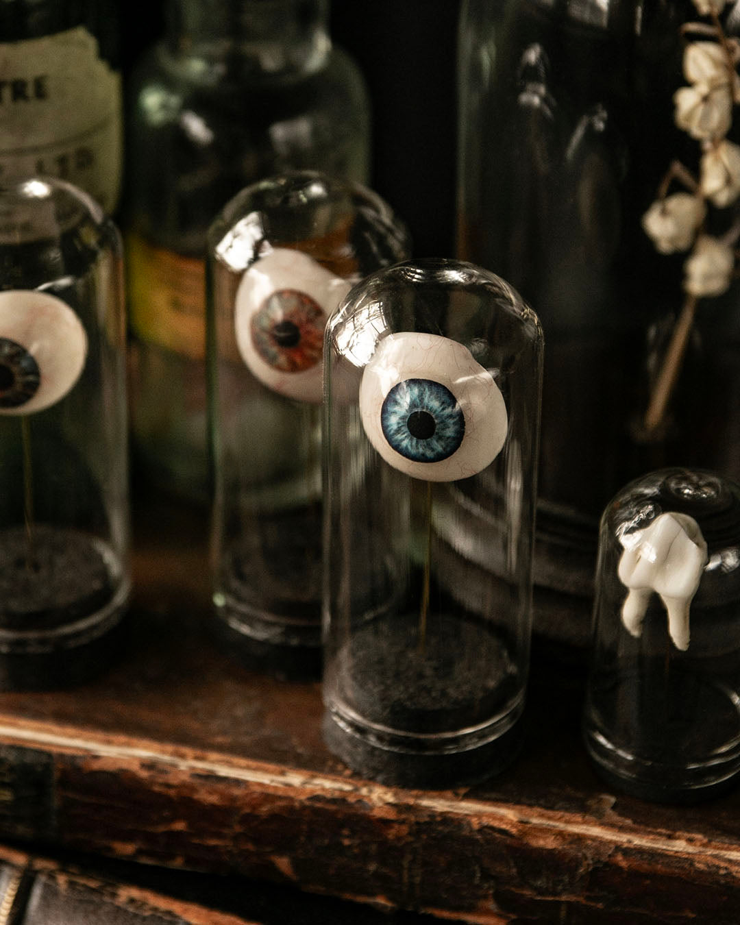 Prosthetic Eye Dome Jar