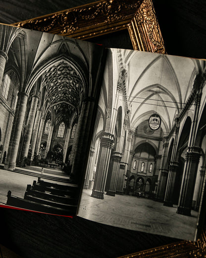 Art of the Renaissance Book