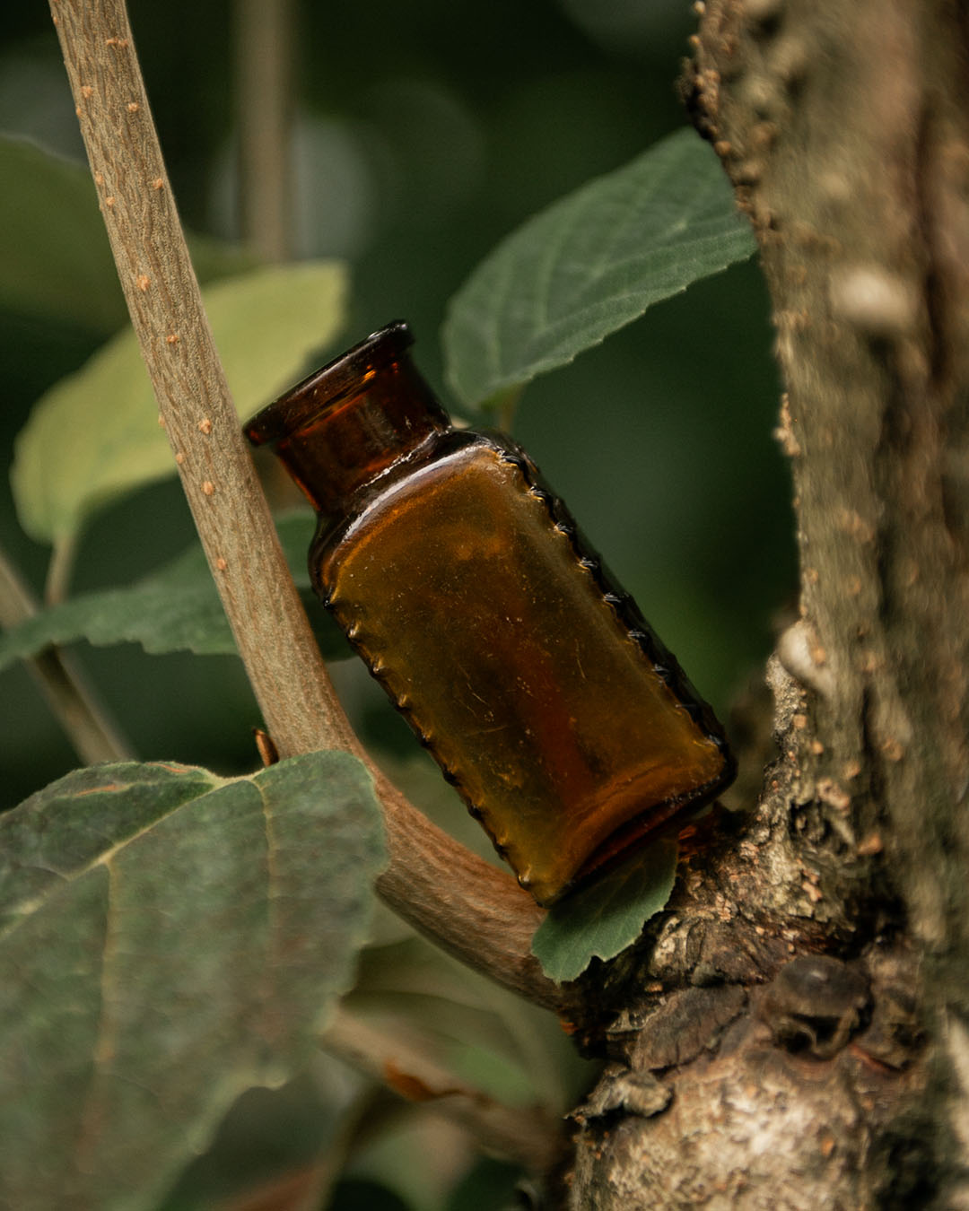 Antique Poison Bottle