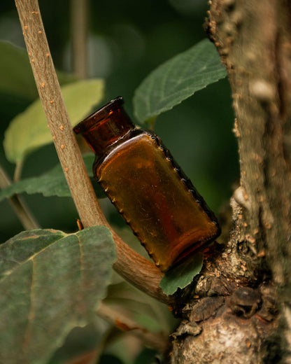 Antique Poison Bottle