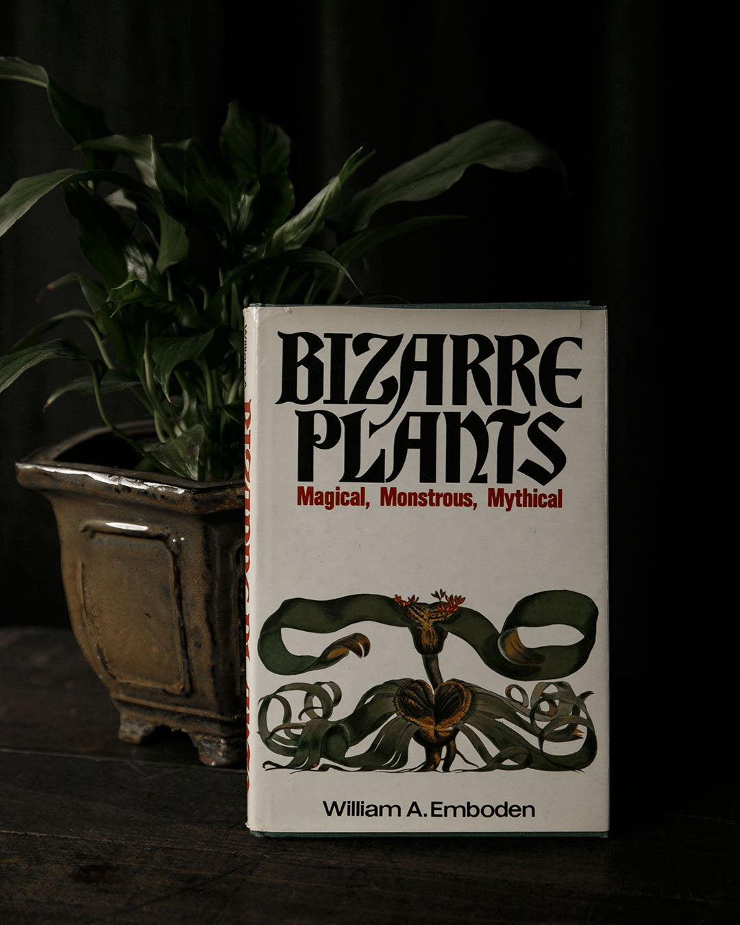 Bizarre Plants: Magical, Monstrous, Mythical