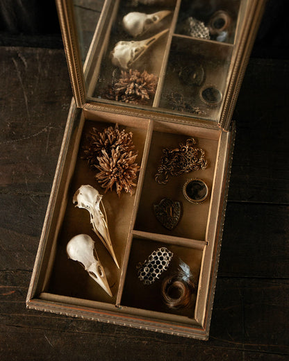 Frame Box