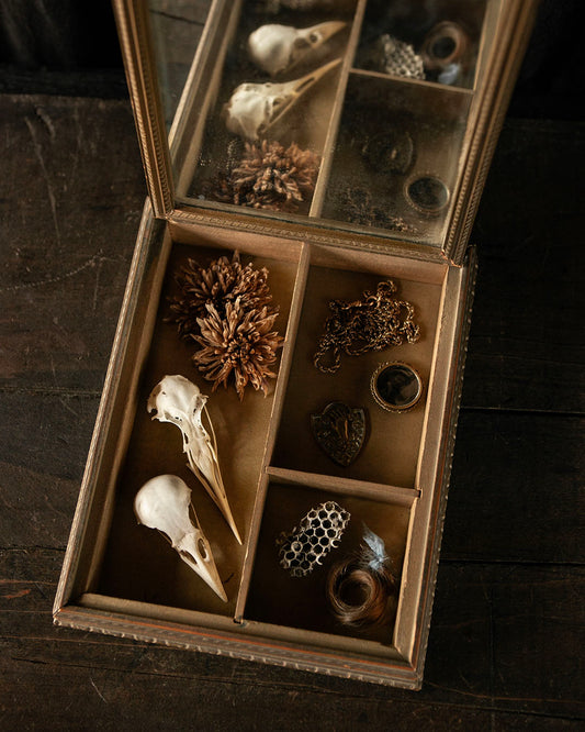 Frame Box