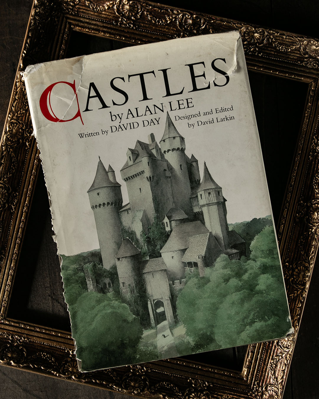 Castles Book