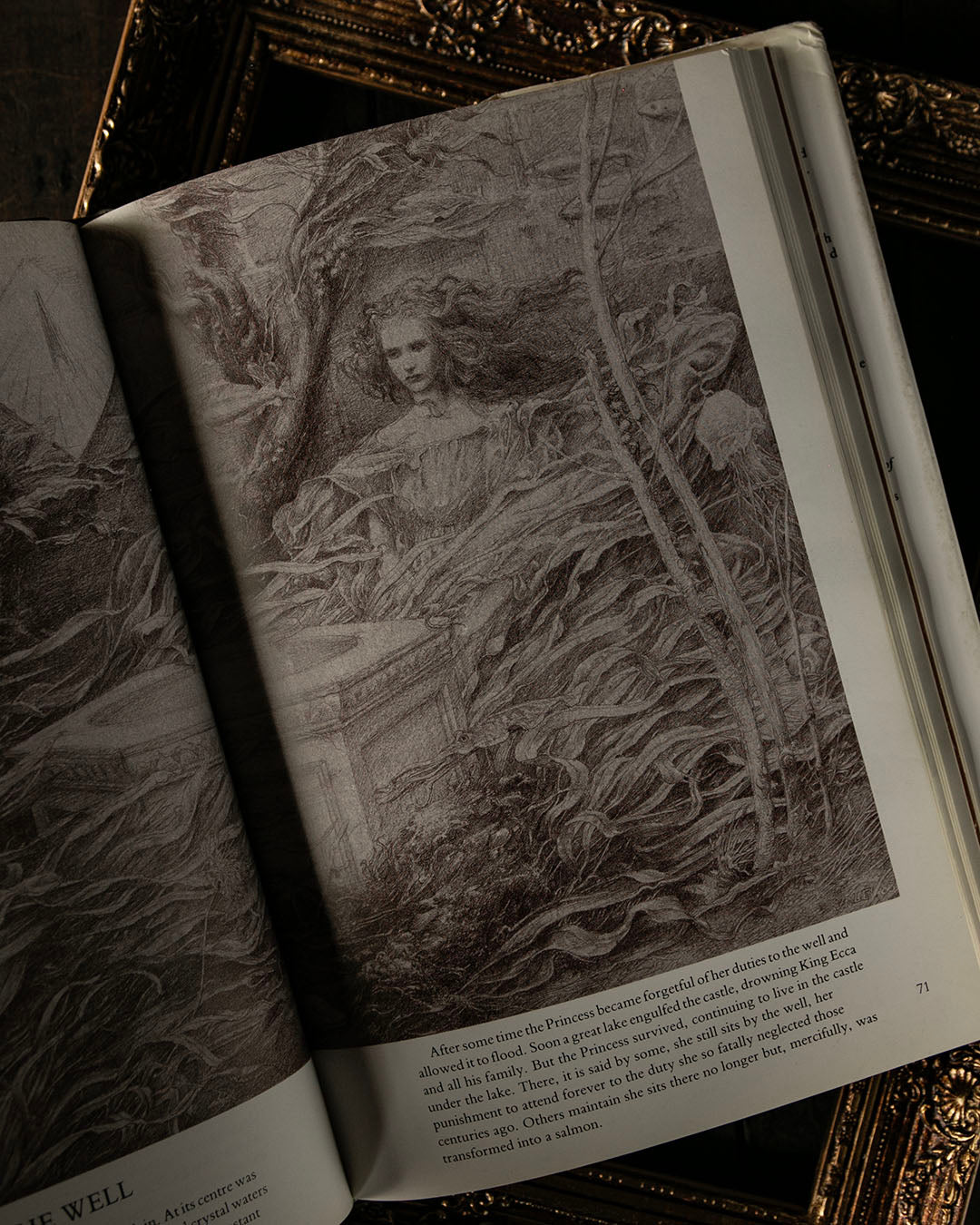 Castles Book
