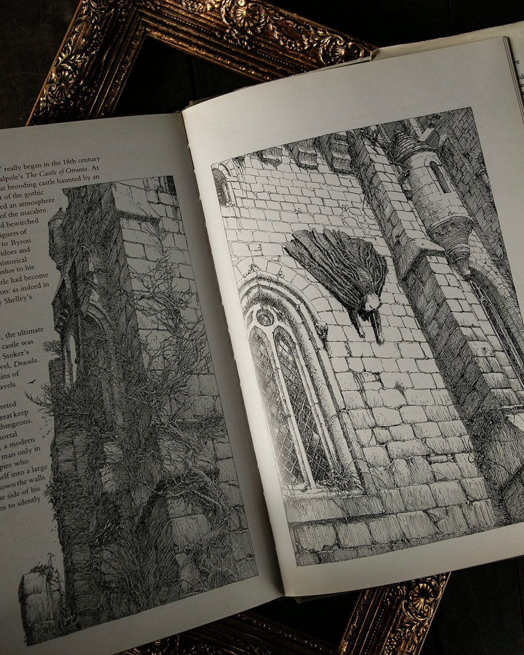 Castles Book