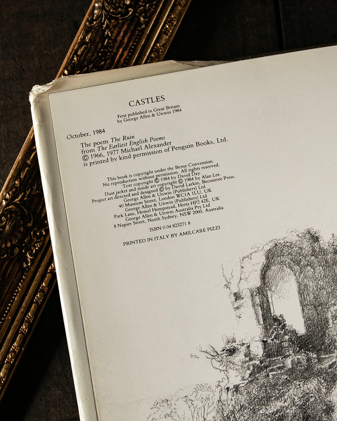 Castles Book