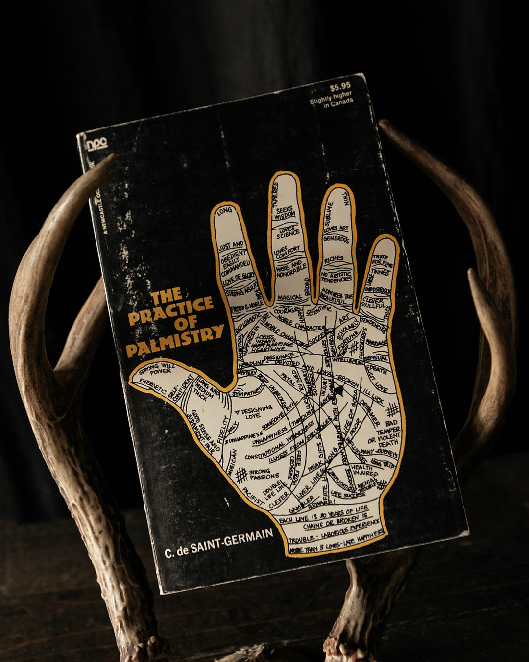 The Practice of Palmistry Book