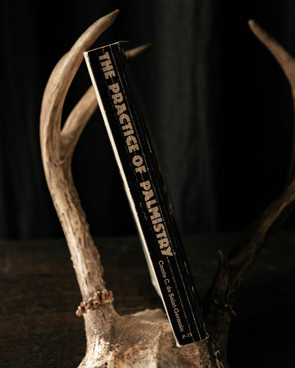 The Practice of Palmistry Book