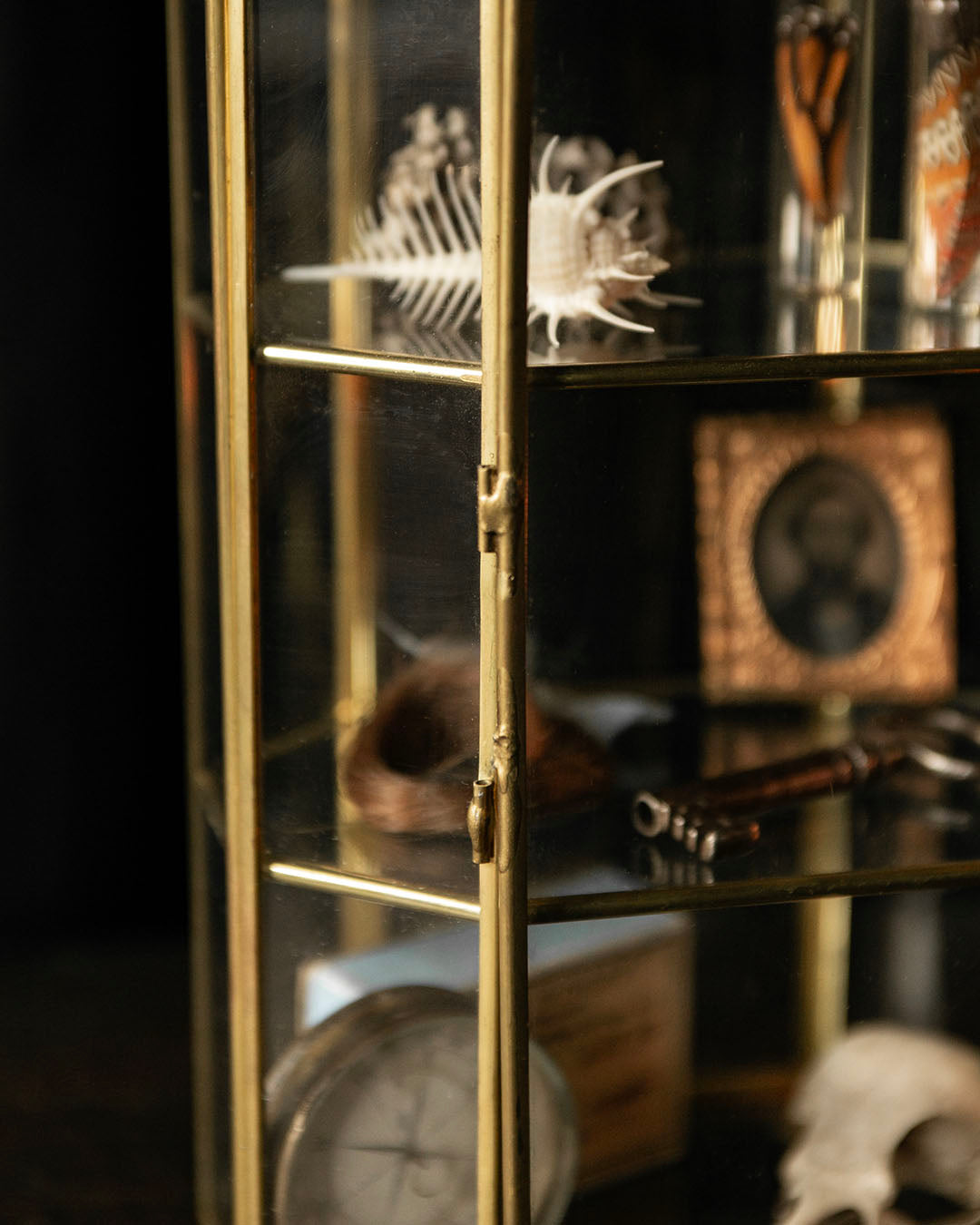 Glass Curio Cabinet