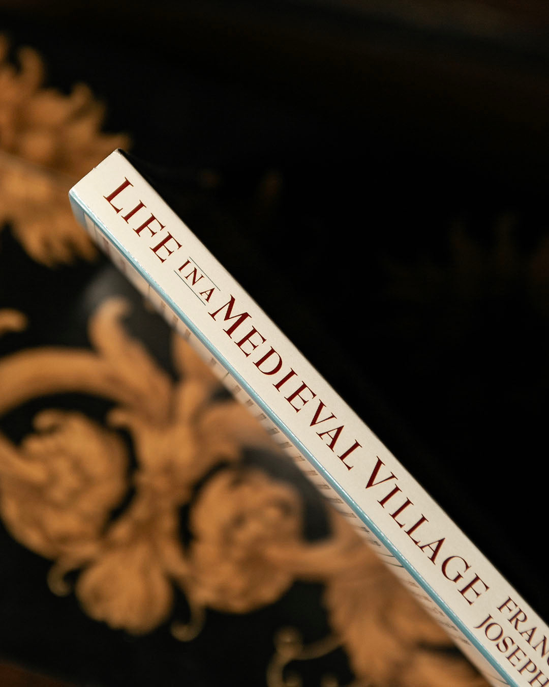 Life in a Medieval Village Book
