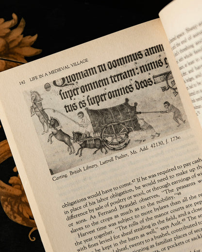 Life in a Medieval Village Book