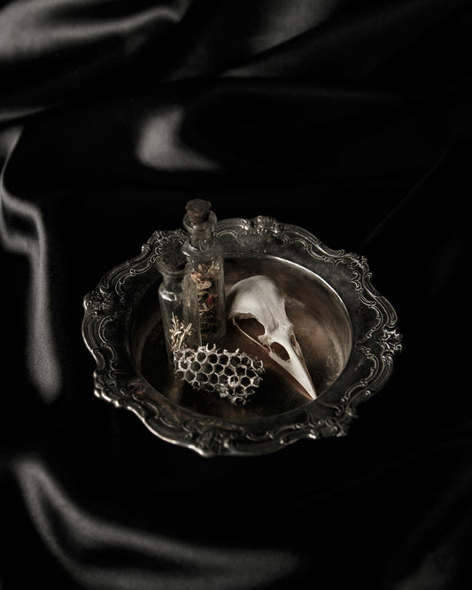 Silver Plated Dish