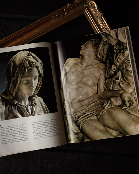 The World of Michelangelo Book