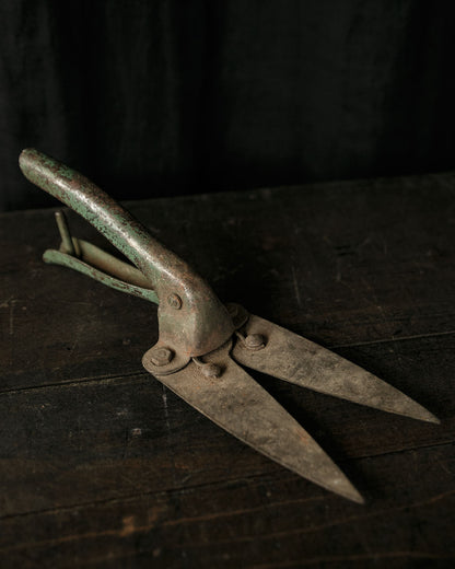 Antique Shears