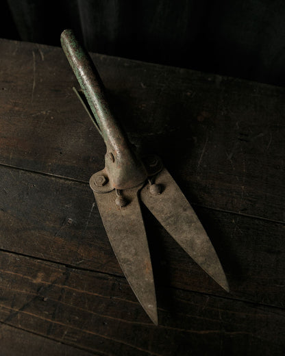 Antique Shears