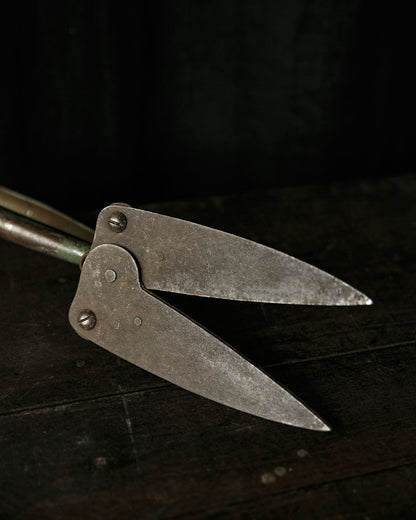 Antique Shears