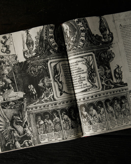 The World of Dürer Book