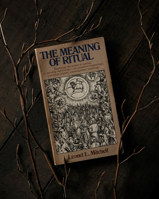 The Meaning of Ritual Book