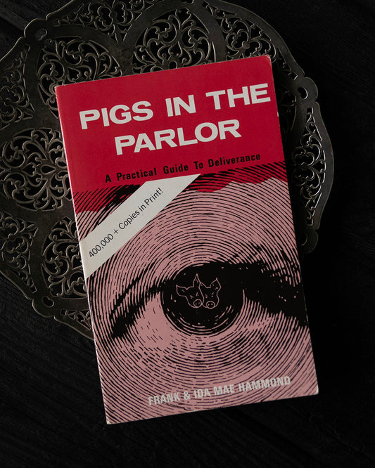 Pigs in the Parlor - A Practical Guide to Deliverance