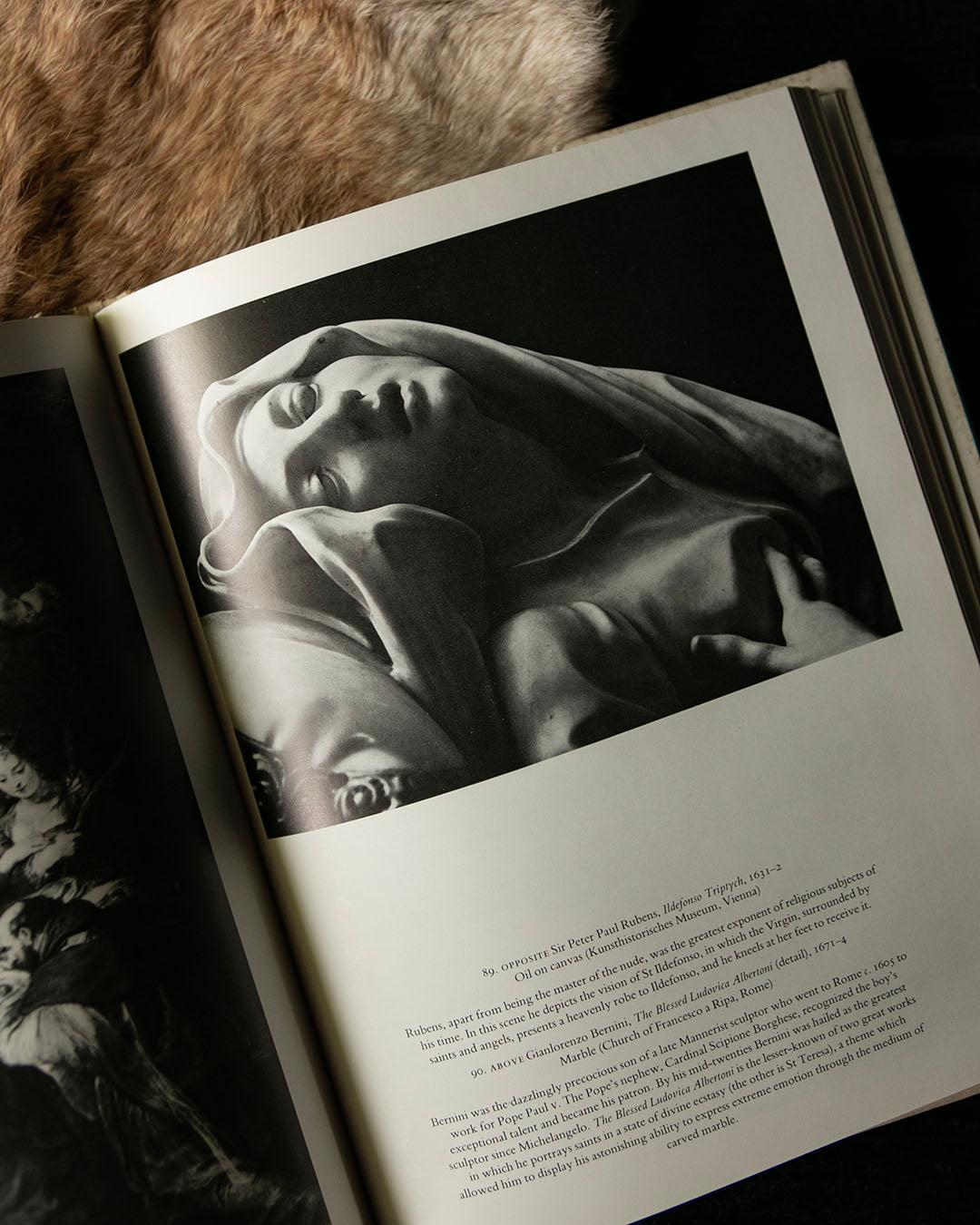 Feminine Beauty Book