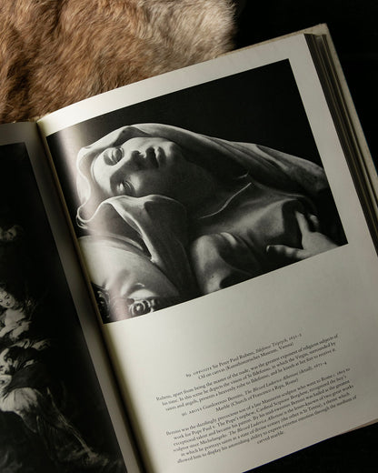 Feminine Beauty Book